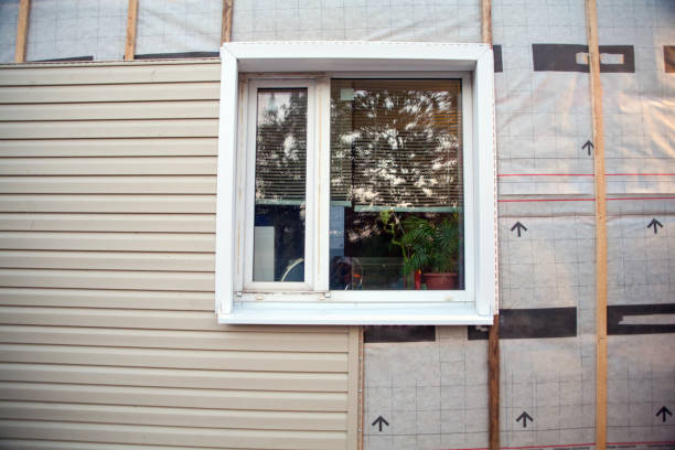 Best Stone Veneer Siding  in Ferndale, MI